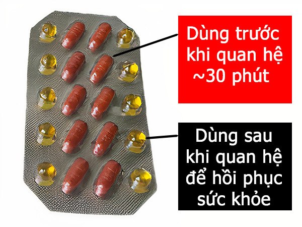 Gold Ant USA Kiến Vàng Đen Tây Tạng thuốc cường dương tăng sinh lý
