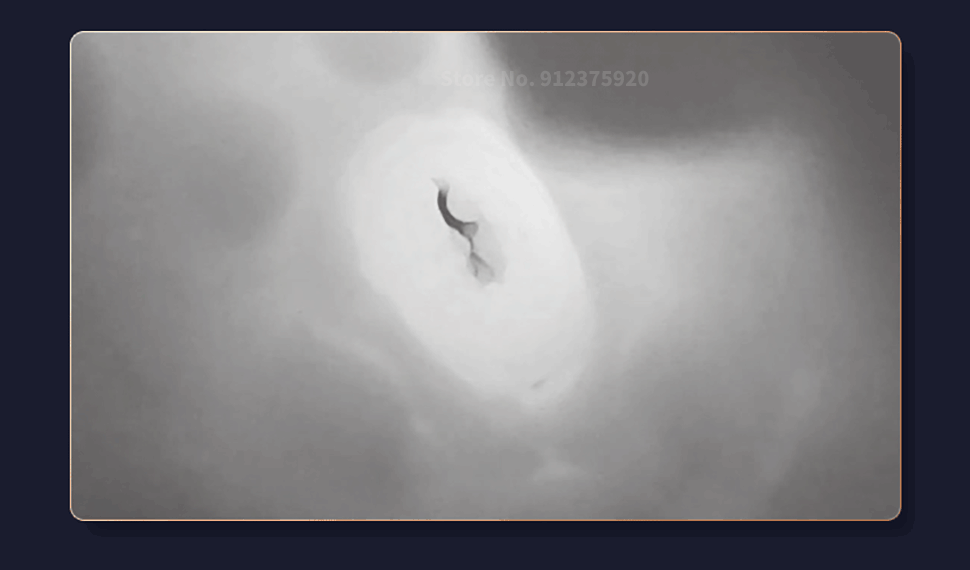 Âm đạo giả Fanle Aix rung mạnh co bóp bú hút kích thích