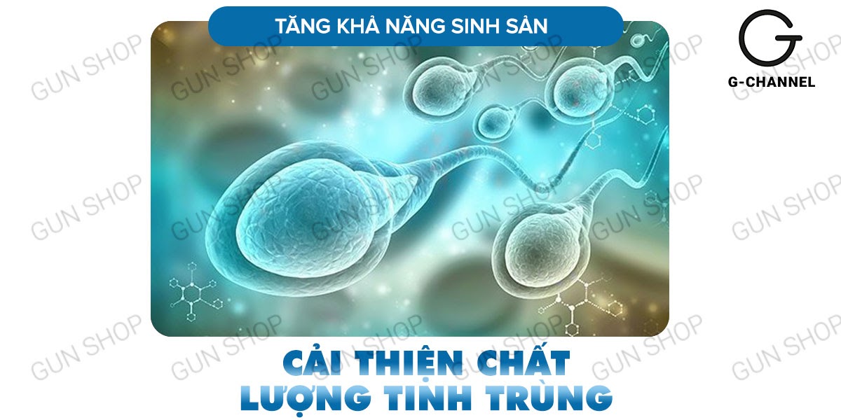 Maxman chính hãng tăng cường sinh lý nam kéo dài thời gian hộp 10 viên Maxman chính hãng tăng cường sinh lý nam kéo dài thời gian hộp 10 viên
