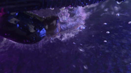 Toysheart Ecstasy Vibe Big Nhật Bản rung xoay mạnh tăng khoái cảm