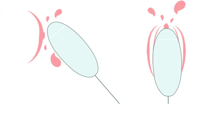 Trứng Nhảy Kis Toy Hút Rung Mạnh Miss VV USA Siêu Phê