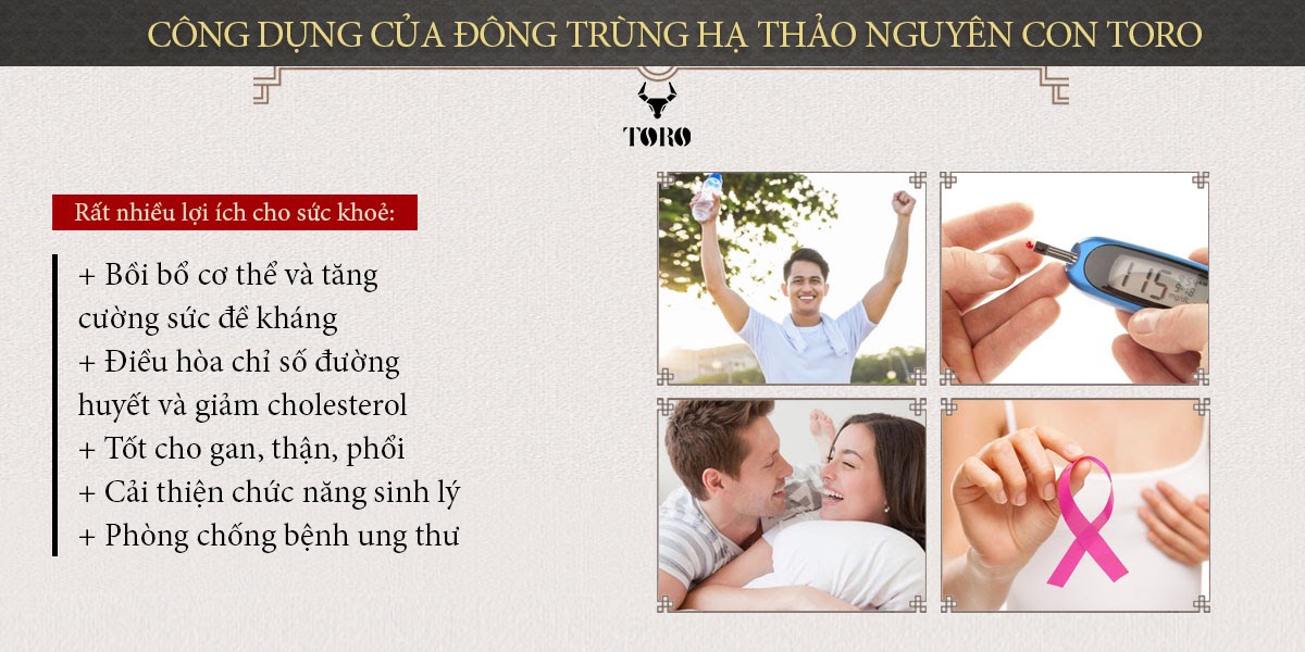 Bỏ sỉ Đông trùng hạ thảo cao cấp nguyên con - Tăng cường sinh lý bồi bổ cơ thể - 5g hàng mới về Bỏ sỉ Đông trùng hạ thảo cao cấp nguyên con - Tăng cường sinh lý bồi bổ cơ thể - 5g hàng mới về