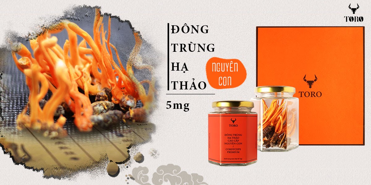 Bỏ sỉ Đông trùng hạ thảo cao cấp nguyên con - Tăng cường sinh lý bồi bổ cơ thể - 5g hàng mới về Bỏ sỉ Đông trùng hạ thảo cao cấp nguyên con - Tăng cường sinh lý bồi bổ cơ thể - 5g hàng mới về